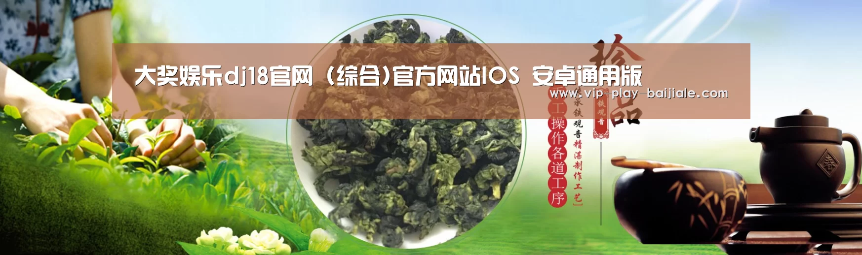易优Cms-演示站